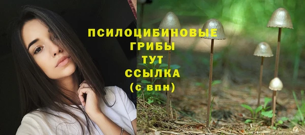 соль курить ск Алзамай