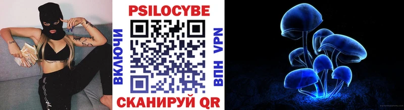 Псилоцибиновые грибы Psilocybe  Жердевка 